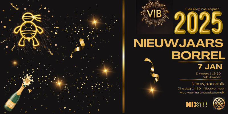 Nieuwjaarsduik